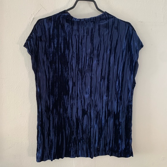 Zara Velvet Top - Picture 3 of 4